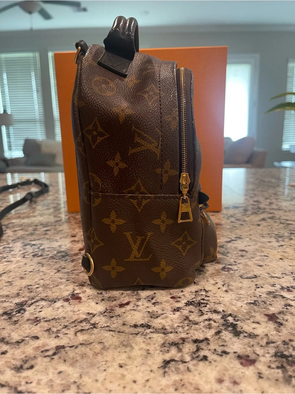 Louis Vuitton Monogram Mini Backpack in Brown and Gold